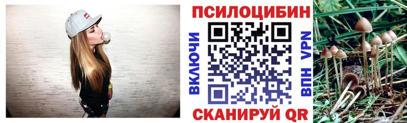 Псилоцибиновые грибы MAGIC MUSHROOMS закладка Солигалич